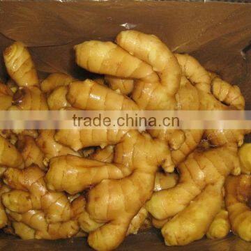 Cheap Fresh Ginger with Good Quality