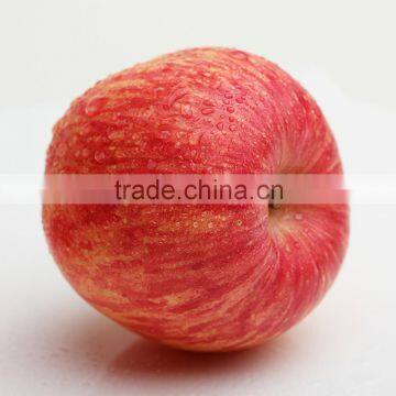 china fuji apples