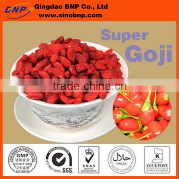 China BNP Supply New Xinjiang 100% Natural Sun Dried Goji Berries