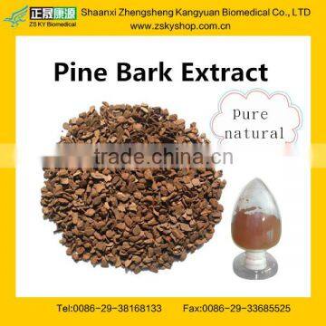 Pine Bark Extract with high quatity and competitive price