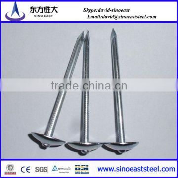 galvanized umbrella roofing nails