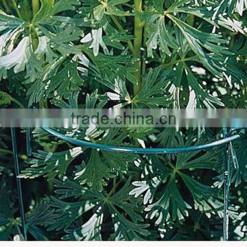 Garden Cradle Wire Climbing Plant Support Stick