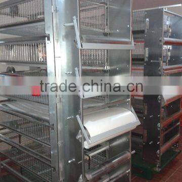 China sell automatic Quail cages and equipment