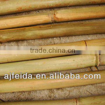 bamboo produce &bamboo cane