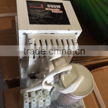Grow Light 600w Open Ballast photo-3