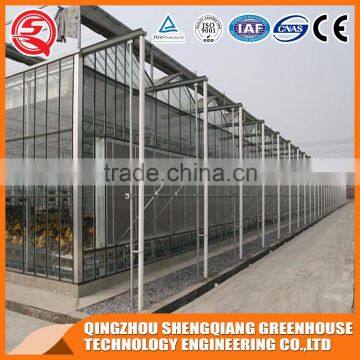 China Factory Direct Greenhouse With Wind Resistance Steel Frame photo-3