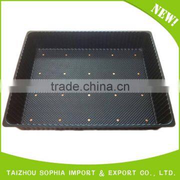 12 Cells Trays Set With Cover and Pallet,12 Cells Plug Seed Tray photo-3