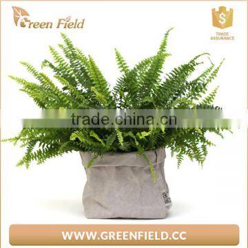 Washable Paper Pots,waterproof Kraft Paper Plant Bag photo-4