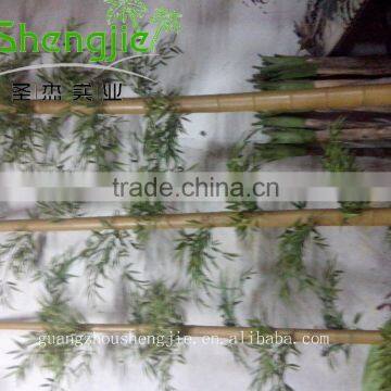 SJLJ013211 Artificial Tree and Plant / Fake Plastic Bamboo Plant for Home / Garden Decoration photo-4