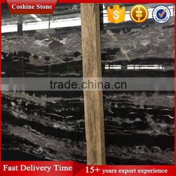 Silver Dragon Black Marble Slab With White Veins photo-5