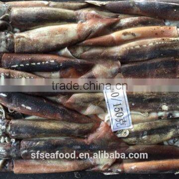 Health Food Frozen Illex Squid With High Nutritious Value