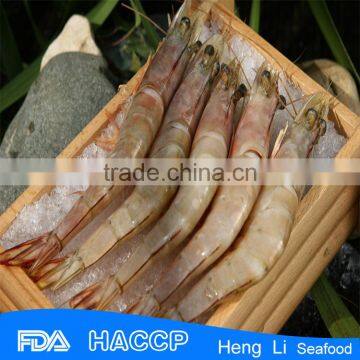 HL002 seafood frozen wild sea caught shrimp