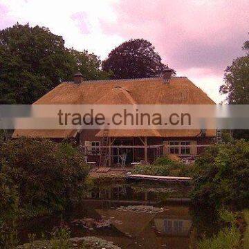Water Reed for Thaching Roof photo-6