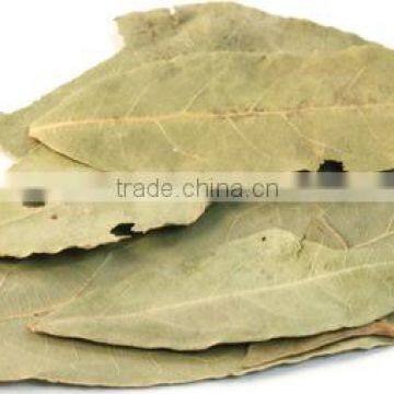 Bay Leaves