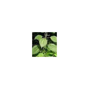 6,7-dihydroxybergamottin(nettle root extract)