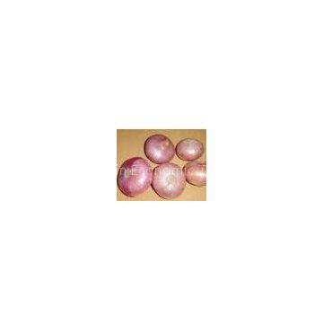 onion