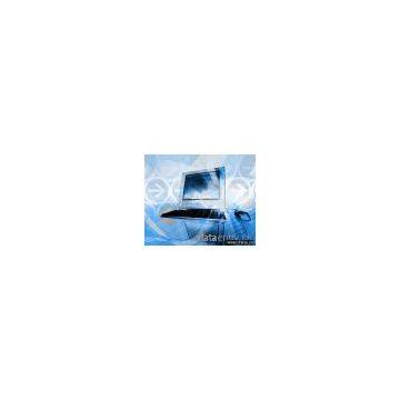 Online Data Entry