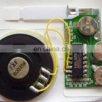 Greeting Card/Toys/Promotional Recordable Programmer Sound Chip