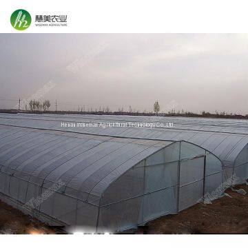 Agricultural farming arch type single span greenhouse