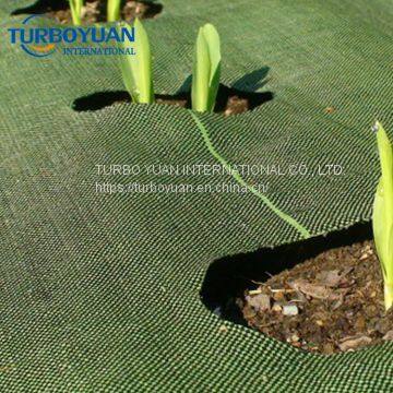 Rolls of Outdoor Recycled Plastic Grass Ground Cover photo-4
