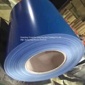 Prepaitned Galvanied Steel Coil, Galvanized Coil Steel Plate, PPGI