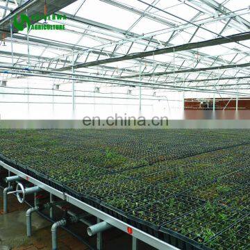 High Quality Wholesale Plant Nursery With Low Cost