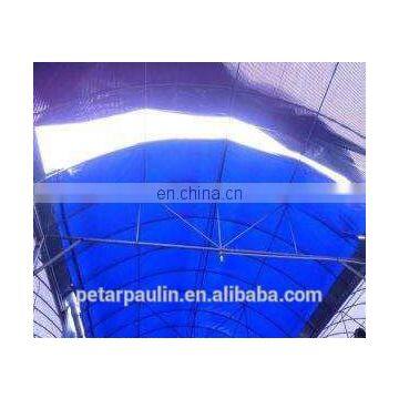 Blue/Orange or Double Blue PE Tarpaulin Sheet in Roll for Indonesia photo-7
