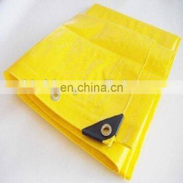 Tent Camping & Canopy & Cover & Banner & Awning PE Tarpaulin from feicheng haicheng