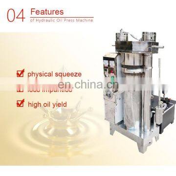 2019 New Type Cold Pressing Pinus Tomentosa Fruit Press Stainless Steel Hydraulic Press Sesame Oil Press photo-5