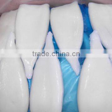 Fesh Frozen squid tube EU treated