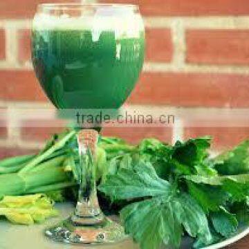 Herbal Spirulina Powder for Body Fitness photo-4