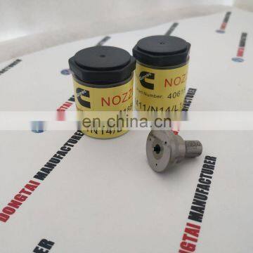 Cheap price of Nozzle 4307525 For  QSN14N855 Fuel Injector 4307516