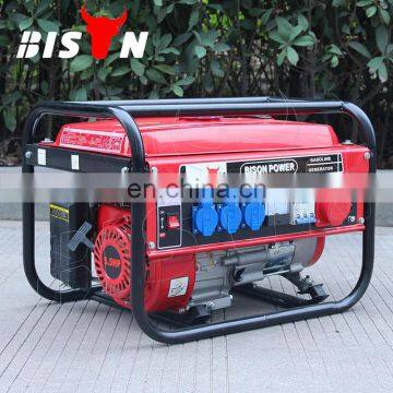 Bison Gasoline Generator 55Hp Swiss Kraft Sk8500W Sk6500W photo-6