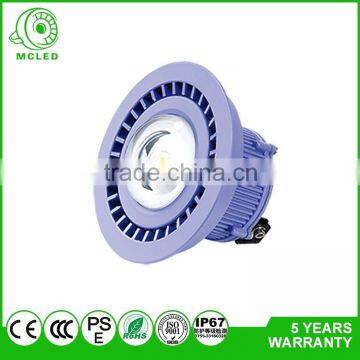 New Innovation 5 Watts LED Flood light Round Type Bridgelux Chip