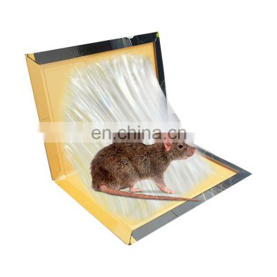 High Kill Rate Humane Rodent Trap Household Moue Glue Board