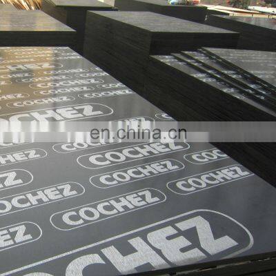 high quality poplar wood film faced shuttering plywood boards price for whole market