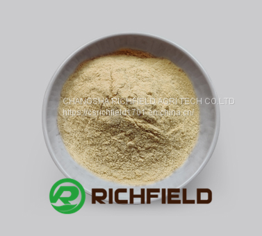 Tea Seed Meal photo-5