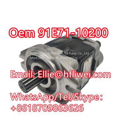 Since 1956 Forklift Spare Parts Hydraulic Oil Pump 91E71-10200 photo-2