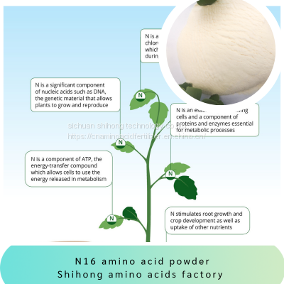 Plant Soybean Amino Acid Powder 80% Organic Fertilizer Free Sample 15-0-0 photo-2