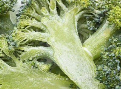 Freeze Dried Broccoli photo-5