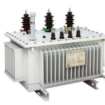 Oil-immersed Amorphous Alloy lron Core Distribution Transformer