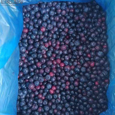 Different Varieties of High Quality IQF Frozen Blueberries photo-2
