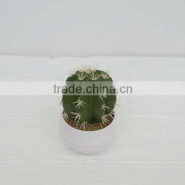 2014 Lastest indoor decorative artificial plants artificial cactus