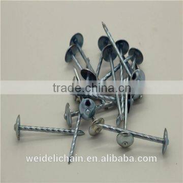 Q195 Meterial Galvanized Umbrella Head Roofing Nails