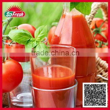 Tinned and Plastic Packed Canned Tomato Paste photo-3
