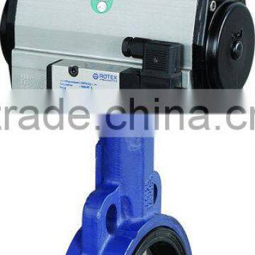 Butterfly Valve with Pneumatic/Rotary Actuator