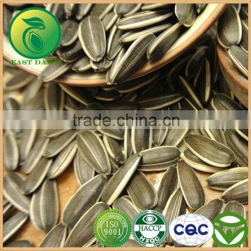 Sunflower Seeds Sunflower Oil Price Bulk