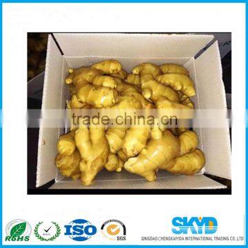 Fresh Ginger Shipping Boxes pp Corrugated Plastic Sheets