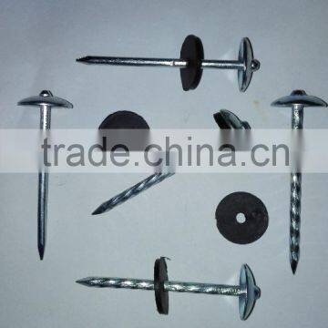 Galvanized Roofing NAILS ( 2 -1/2" x 9mm ) With Plastic Washer Boa Sorte Trade Ssurance Sinolink photo-2