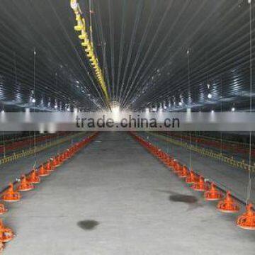 Design poultry farm shed steel structure